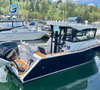 7.5m Luxury Aluminum Cabin Fishing Boat