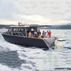 36ft 11m middencabine voor gezinsgebruik, luxe jacht, aluminium vissersboot met buitenboordmotor