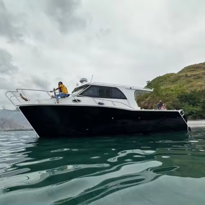 10m Water Taxi Passenger Fishing Speed Catamaran Boats Boat Luxury Yacht For The Ocean