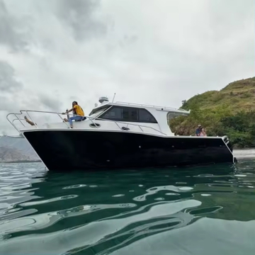 समुद्र के लिए 10 मीटर जल टैक्सी यात्री मछली पकड़ने की गति कैटामरैन नावें नाव लक्जरी नौका
