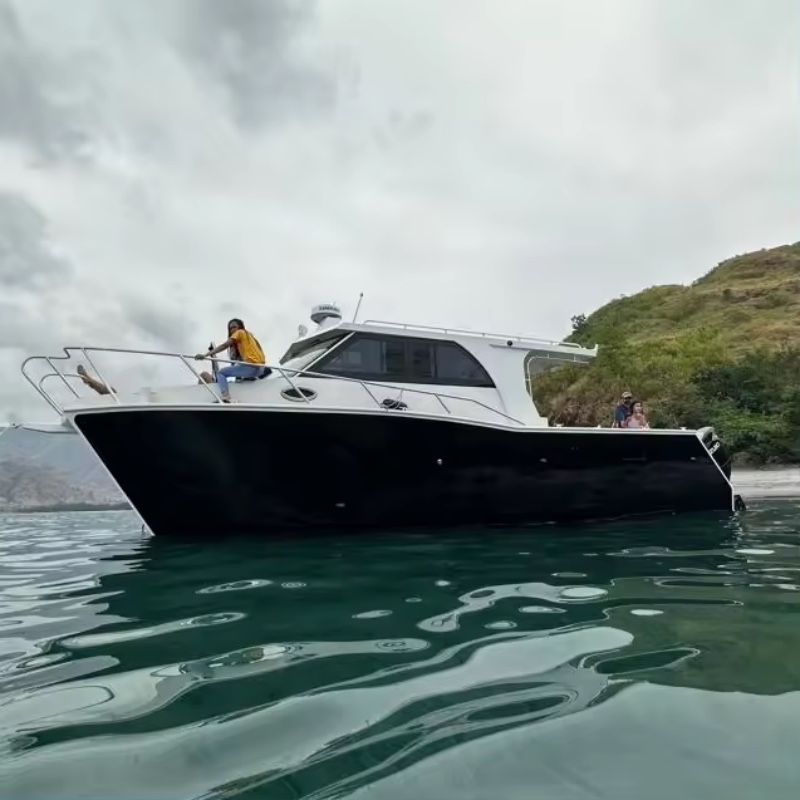 10м усан такси зорчигчийн загас агнуурын хурдны катамаран завь Далайд зориулсан тансаг дарвуулт завь
