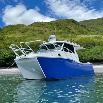 Bateau de passager de bateau de pêche de ferry de voile de catamaran de yacht de luxe en aluminium de 8,8 m