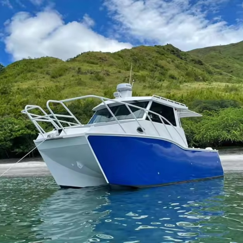 8,8 m aluminium luxe jacht catamaran zeilboot vissersboot passagiersboot