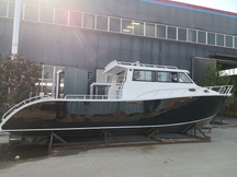 11M leefstyl