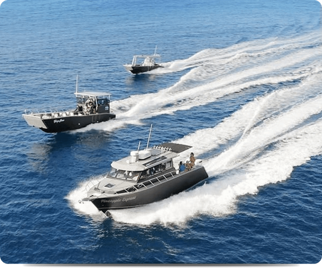 saltwater fishing boat, aluminum fishing boats, aluminum boat Manufacturer  & Supplier - Gospel Boat