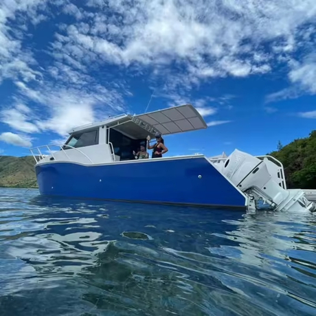 8.8m Aluminum Luxury Yacht Catamaran Sail Ferry Fishing Boat Passenger Boat