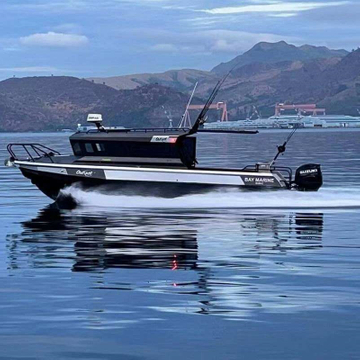 Luksusowa aluminiowa łódź rybacka z kadłubem i pontonem Cuddy o długości 9 m