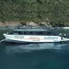 16.6M Catamaran Hull Passenger Boat