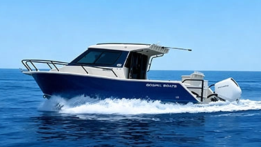 G2 P750
